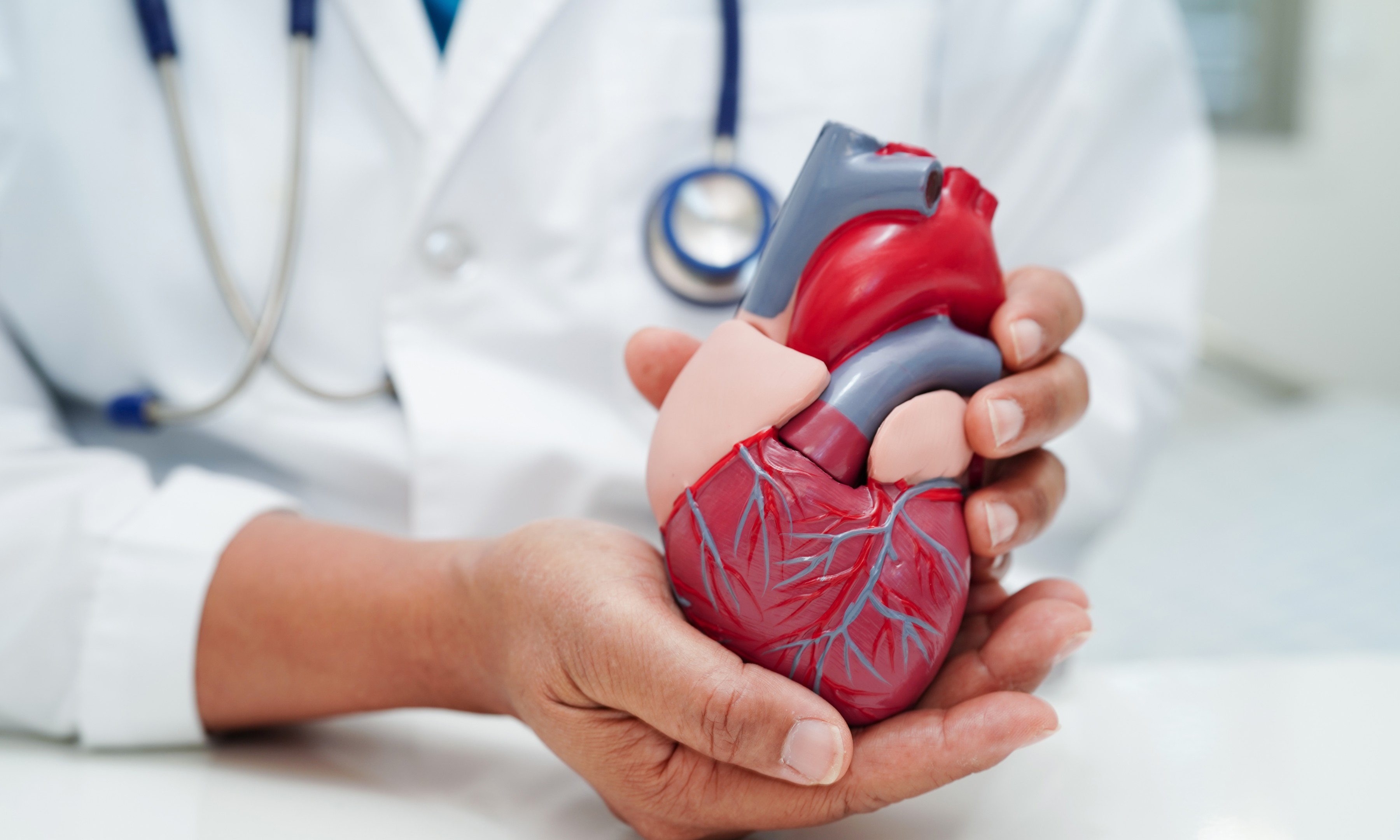 Cardiac Surgeries Image